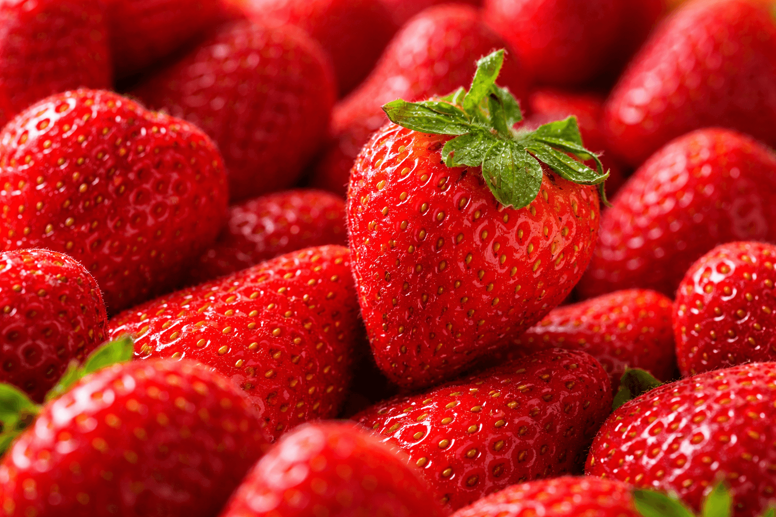 Frische rote Erdbeeren