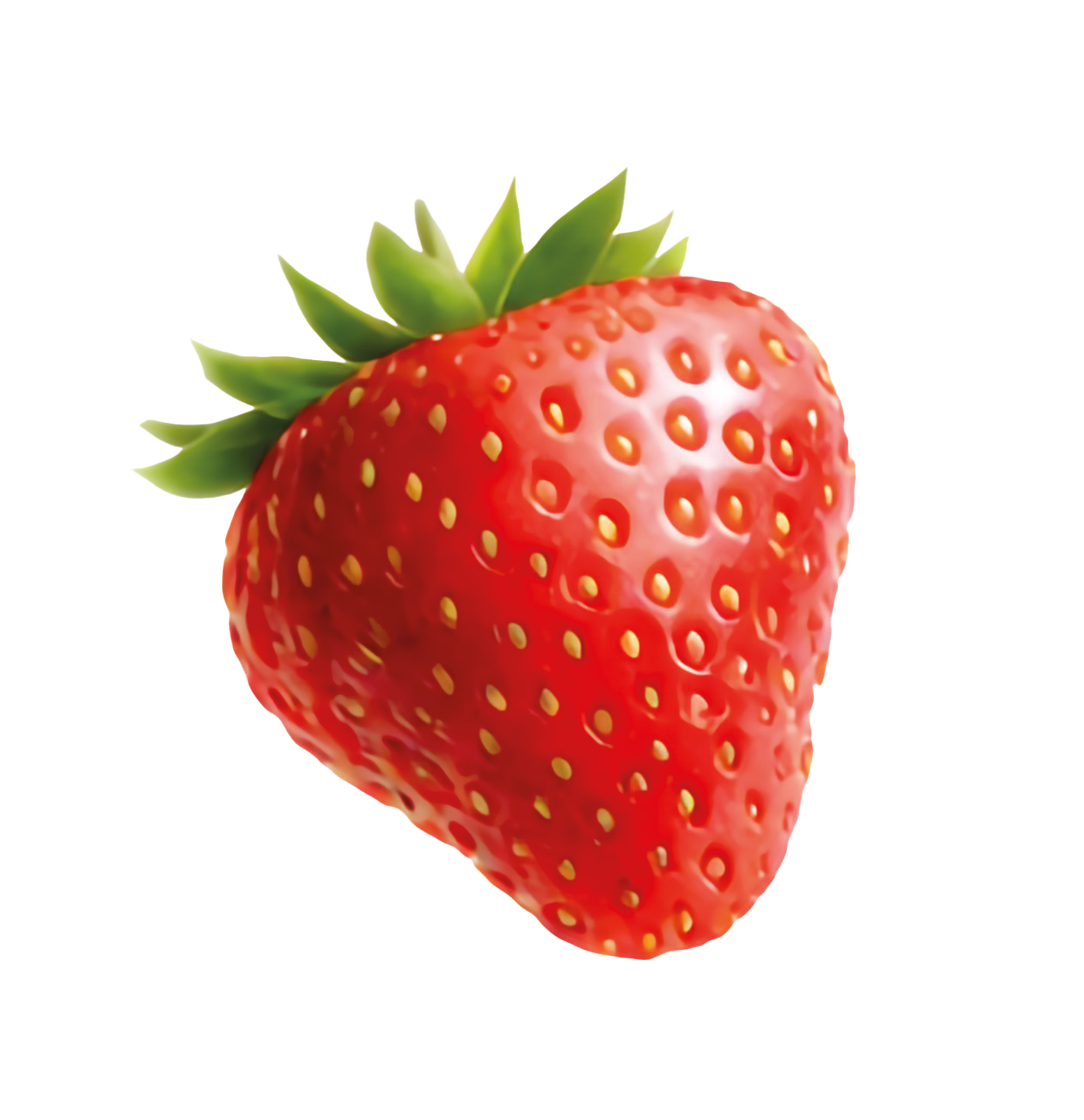 Frische Erdbeere